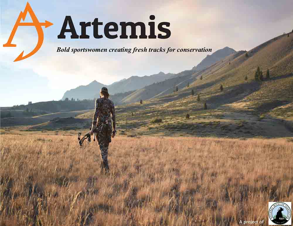 Artemis-NWF