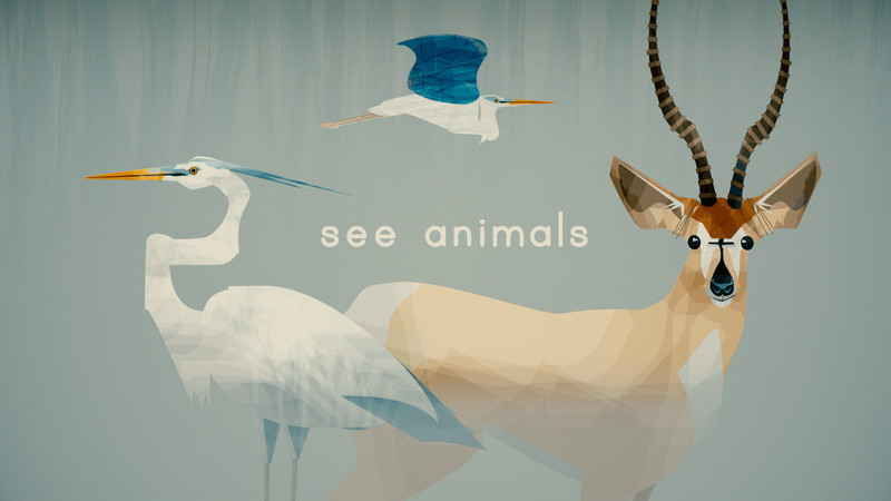 See Animals • International Wildlife Film Festival