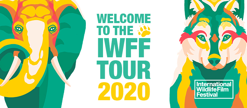 IWFFTOUR_FB Banner IWFFTOUR_FB Banner