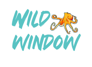 Wild window