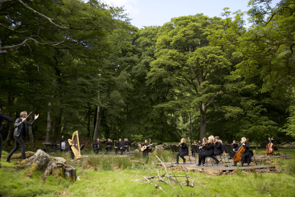 Orchestra plays in forest