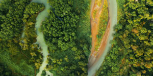 Aerial view of forest and body of water.