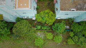 Aerial shot of two buildings and trees.