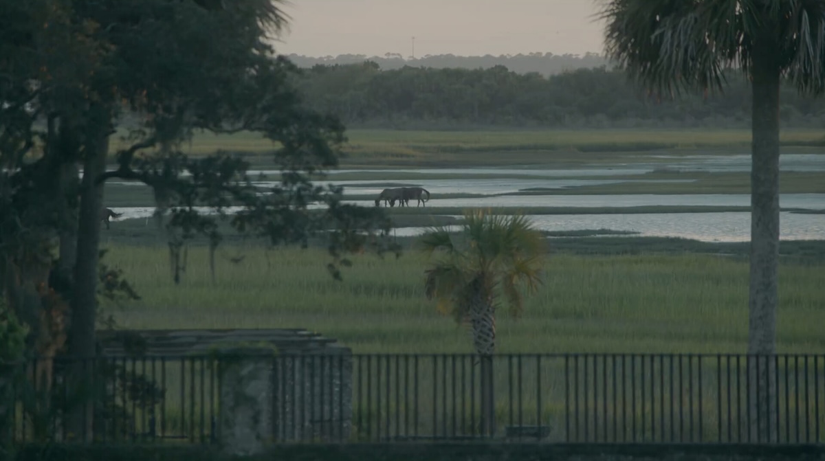 Horse in landscape with plants and water.