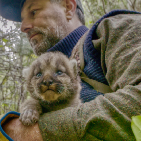 Person holds animal in arms.