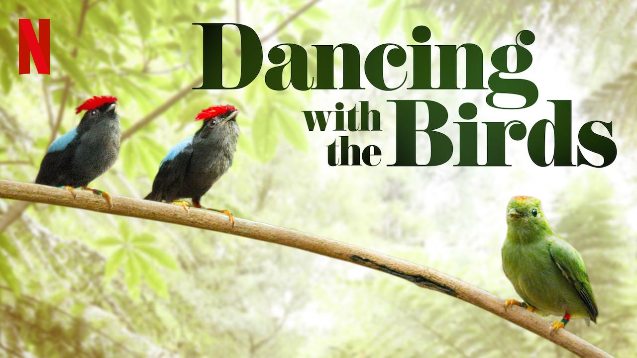 Dancing with the Birds • International Wildlife Film Festival