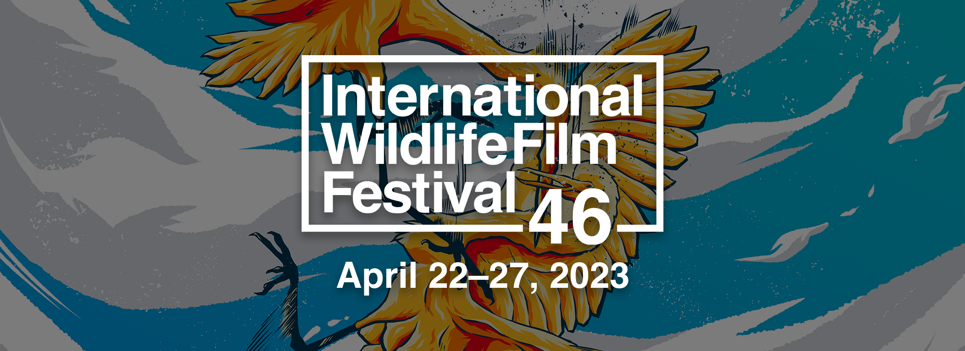 International Wildlife Film Festival. Two cranes battling in the sky. April 22 to 27,  2023