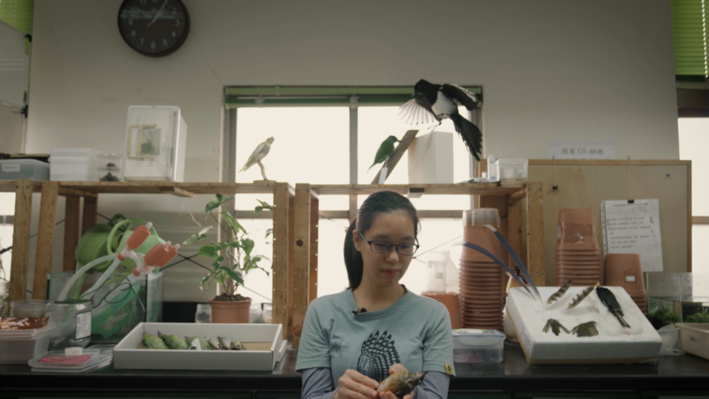 Person in room with bird research objects
