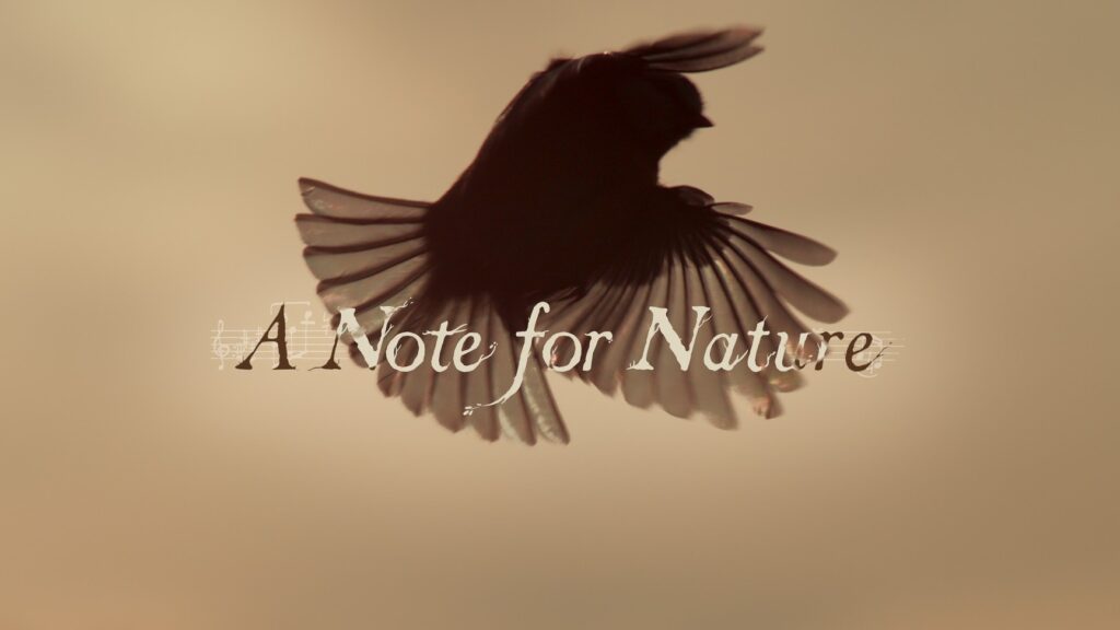 Image of bird in flight in sepia color tones with text of title of film