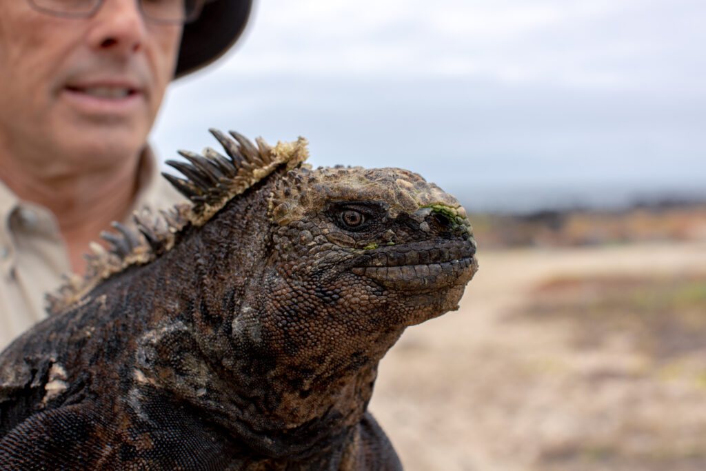 Person holds lizard in desert environment 