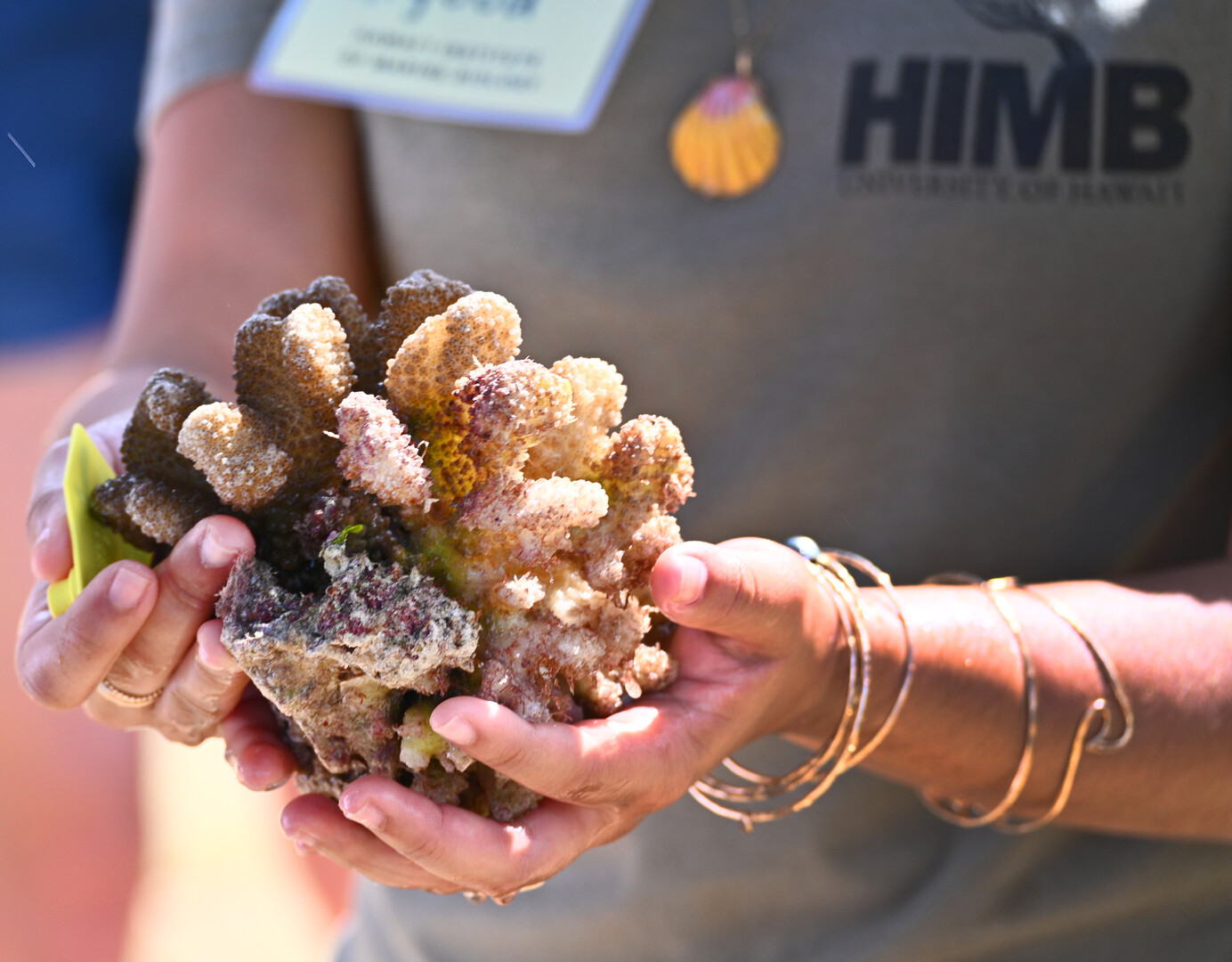 Person holding coral in hands