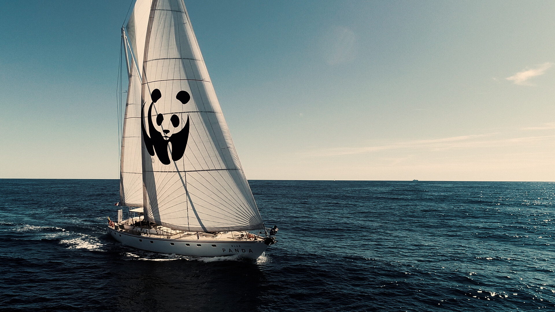 Boat with white sail with WWF panda on water