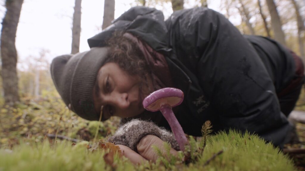 Person on ground looking at pink mushroom