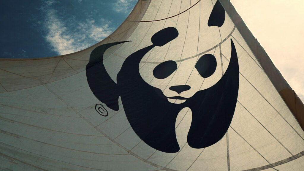 Boat with white sail with WWF panda logo