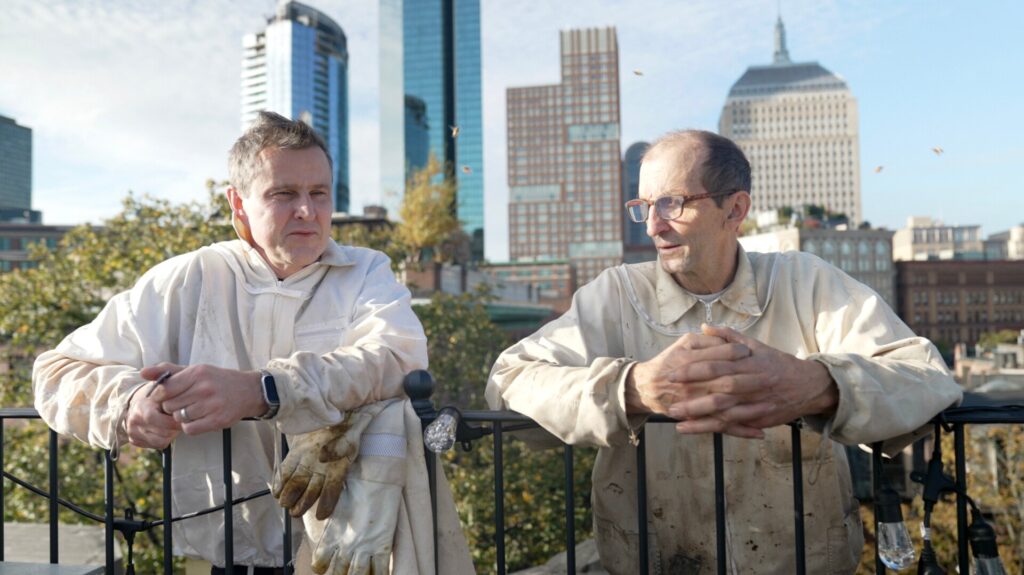 Two people in bee suits with skyline behind them