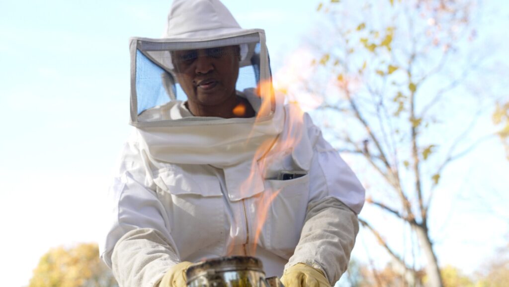 Person in bee suit