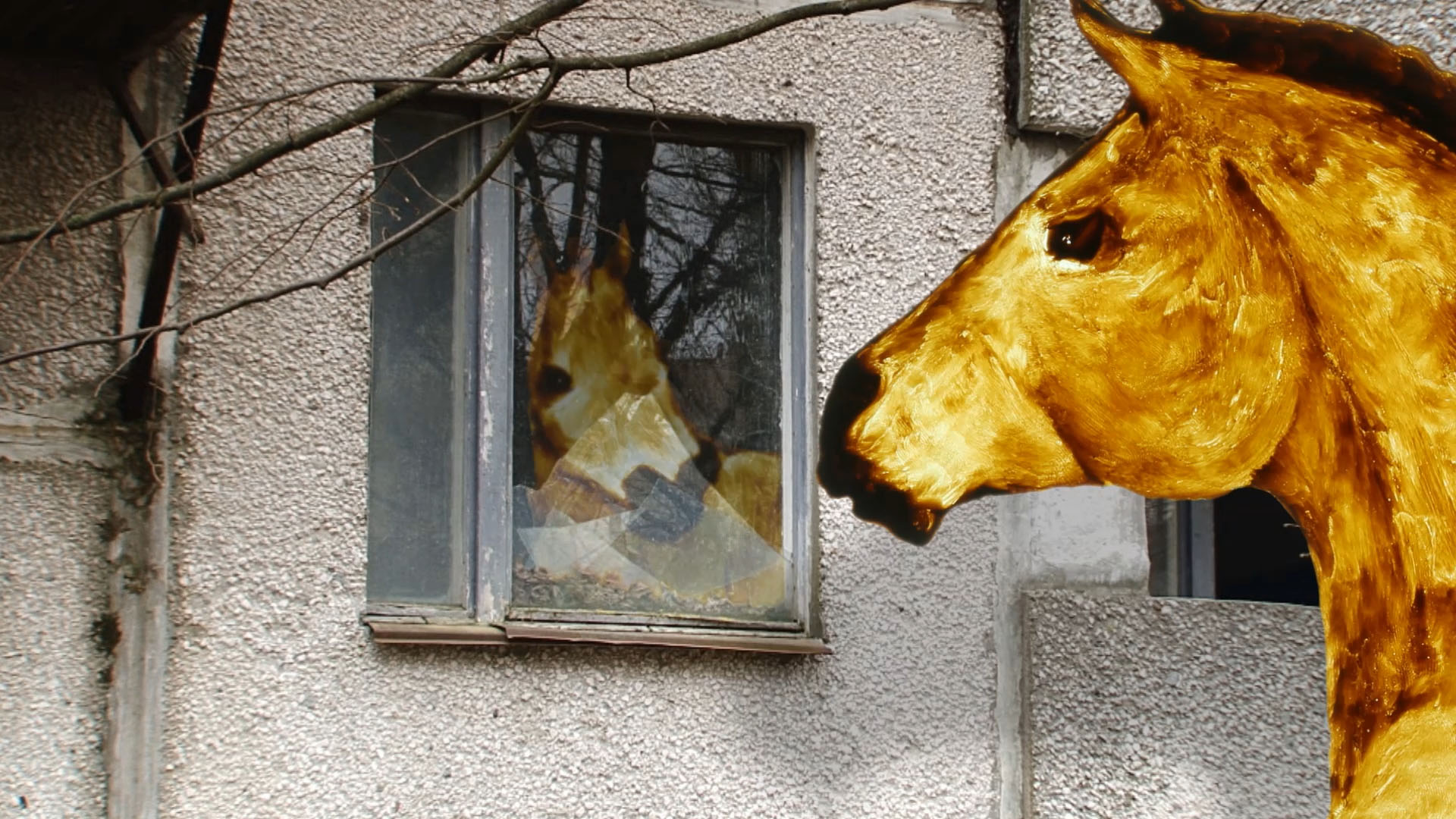 Horse looking at reflection in window