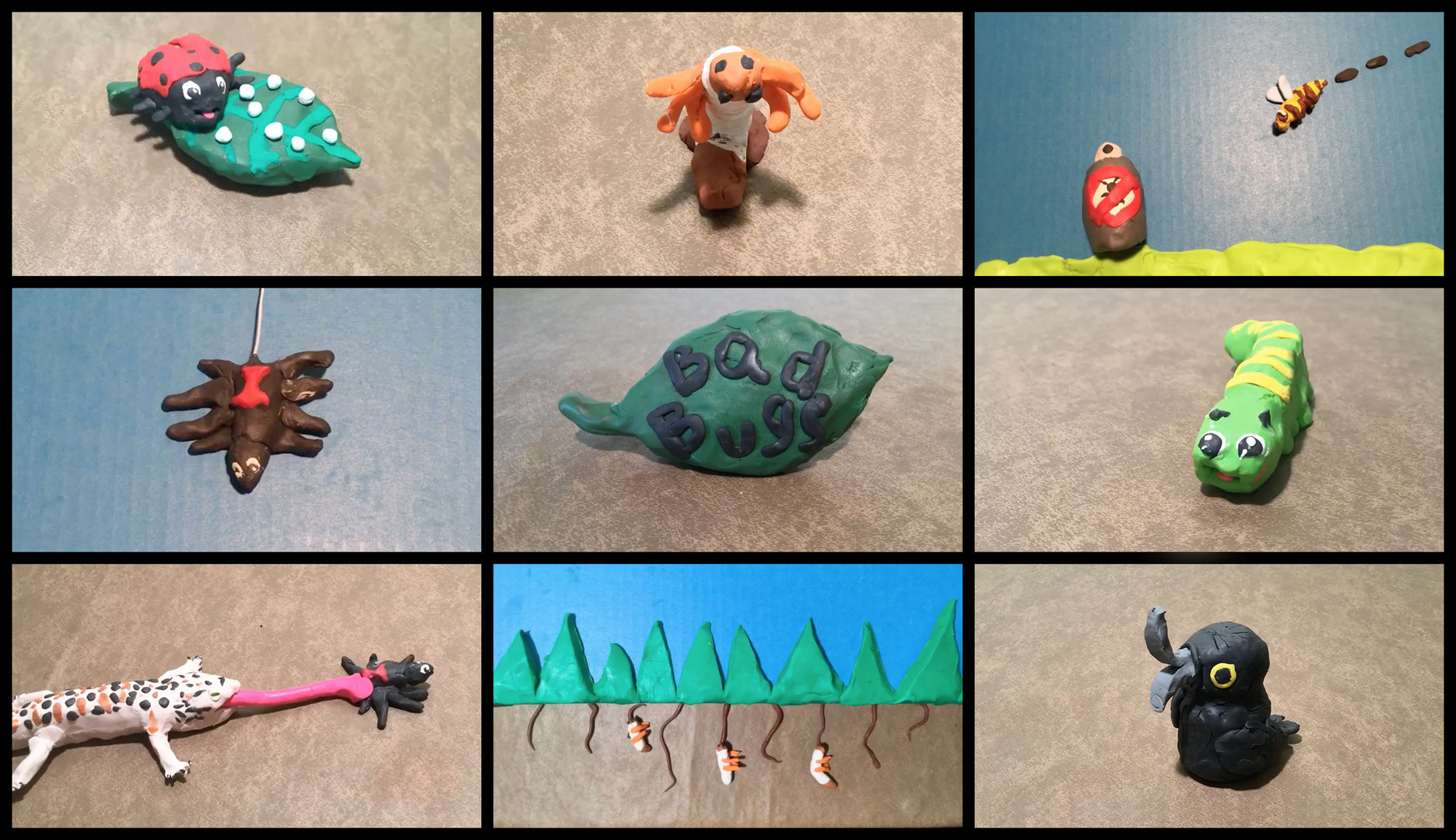 Photos of stop motion bugs on a grid