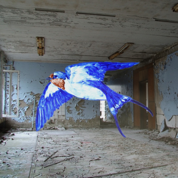 Blue swallow in interior space