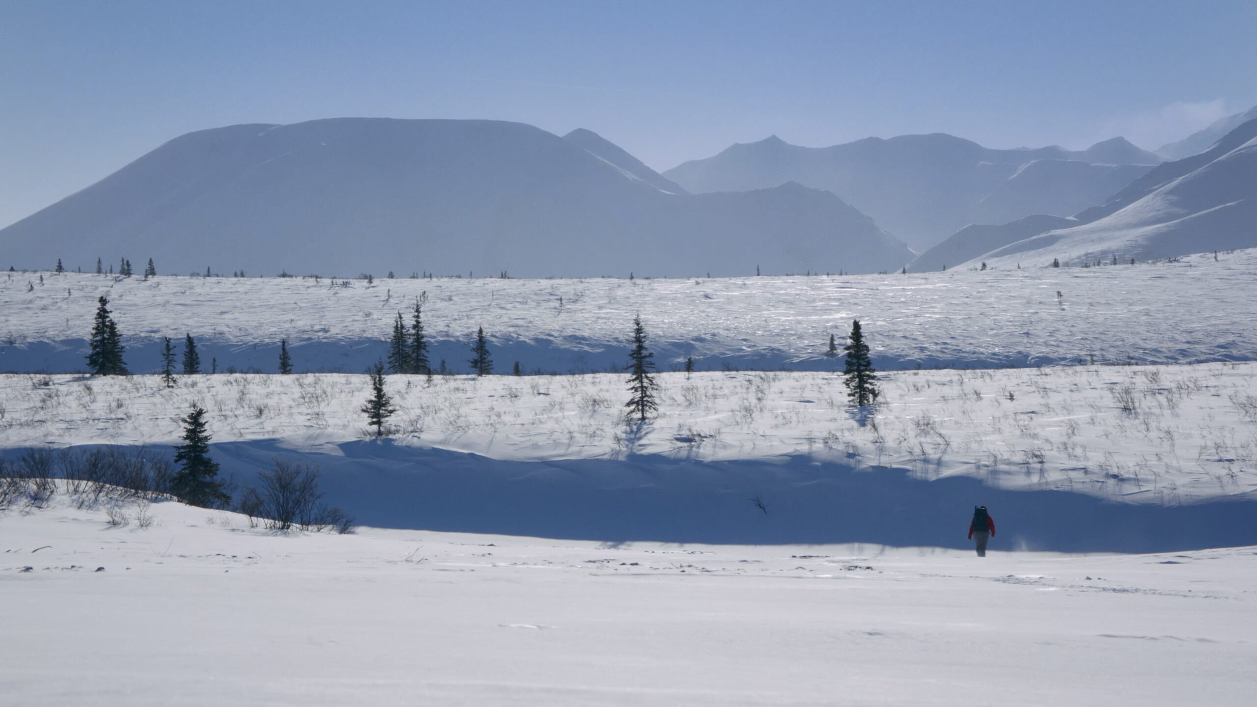 Snowy landscape with fence and mountains in background.
