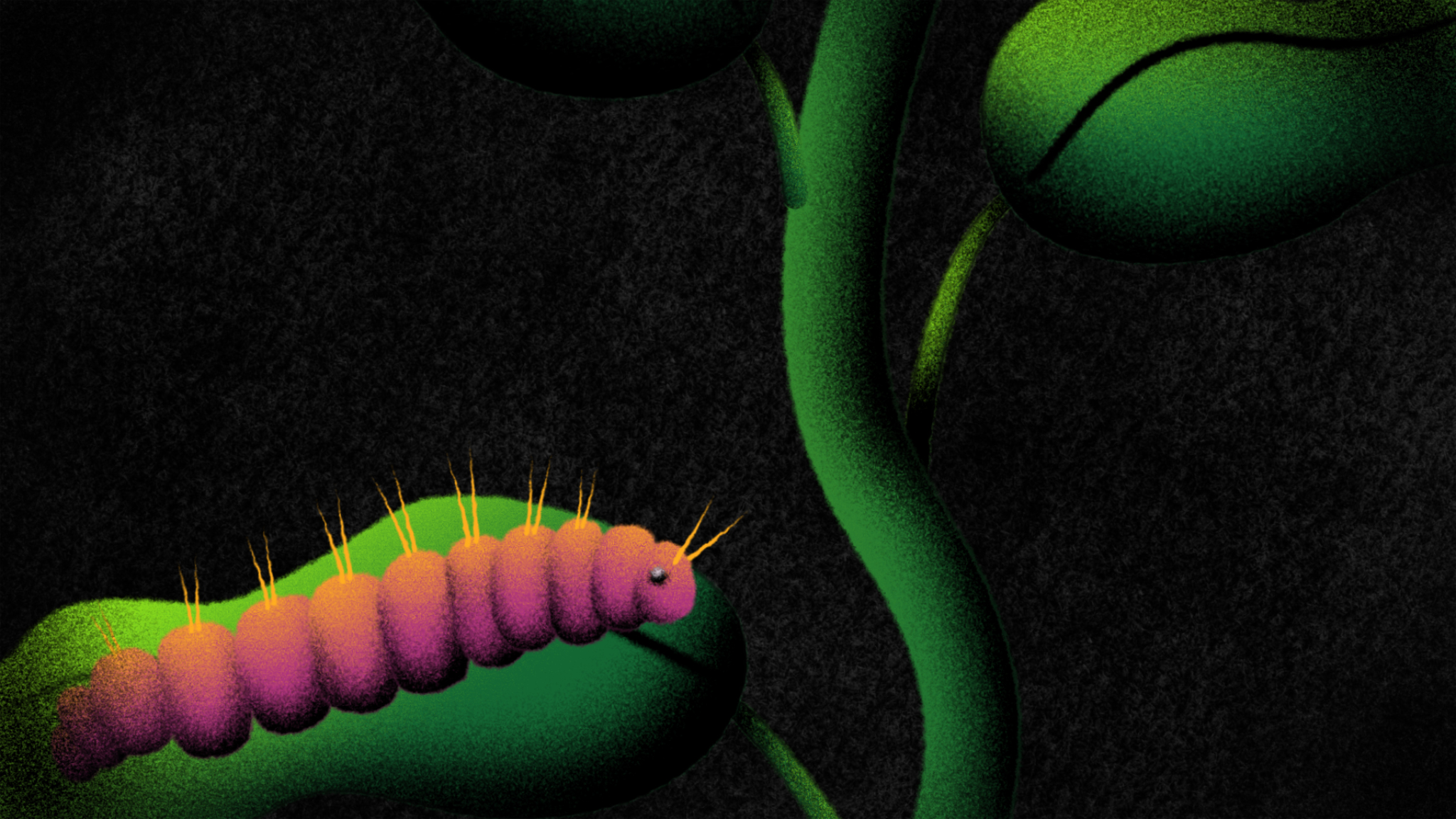 Animation of pink caterpillar on green leaf with black background.