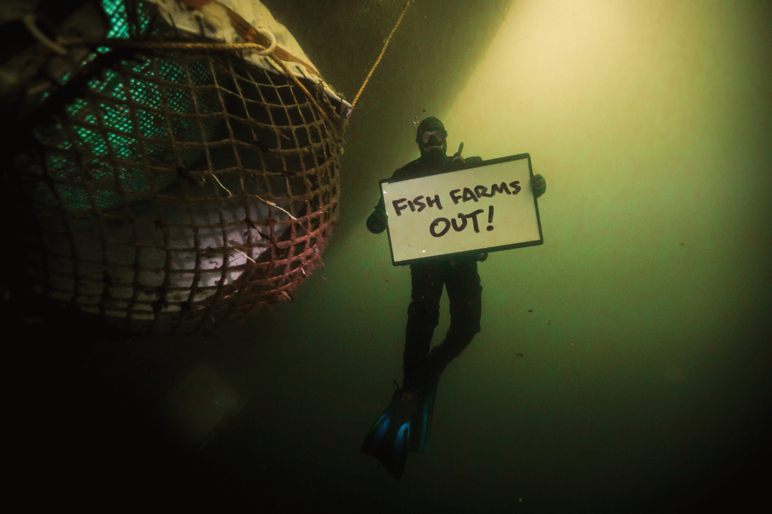 Diver with whiteboard under water.