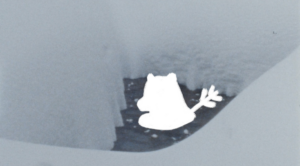 Frozen water and snow with painted creature.