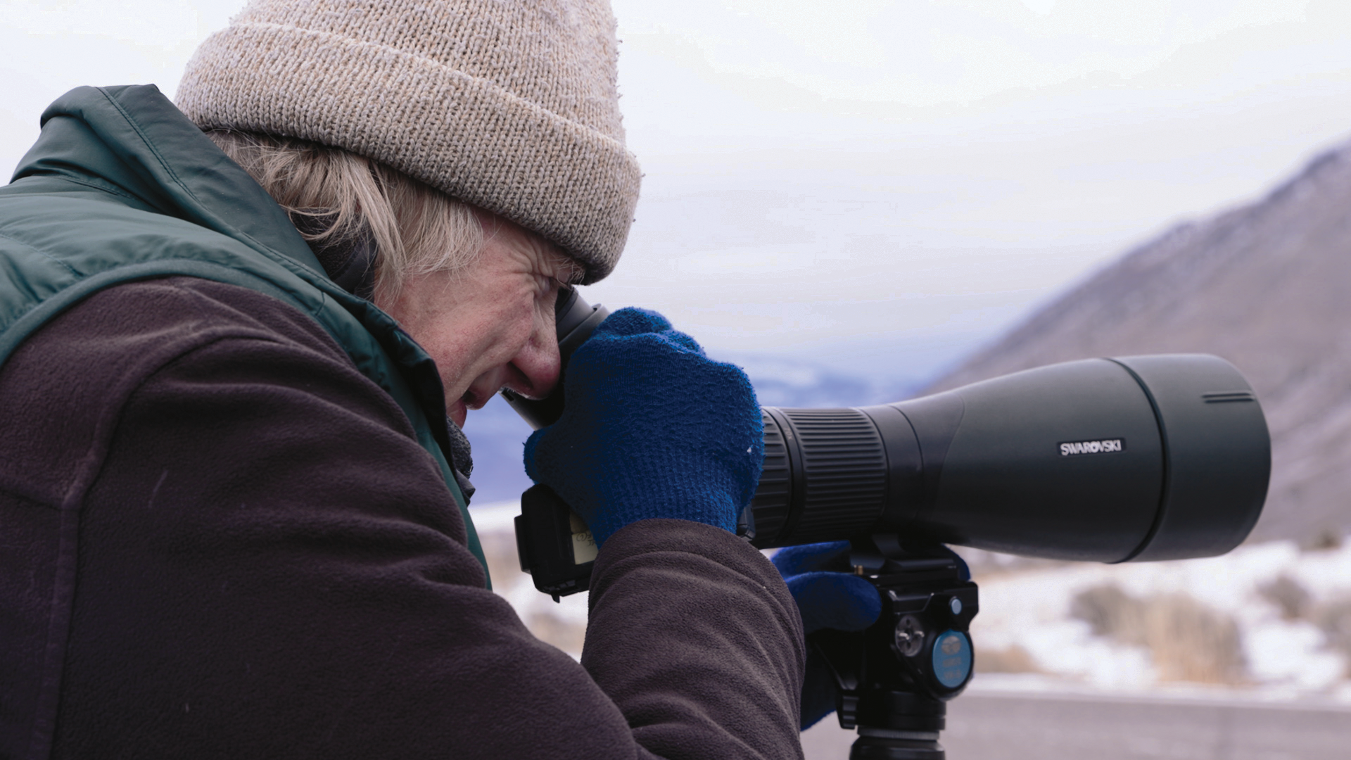 Person looking in scope.