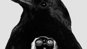 Person with binoculars inside image of crow part of poster for "Society of Crows"