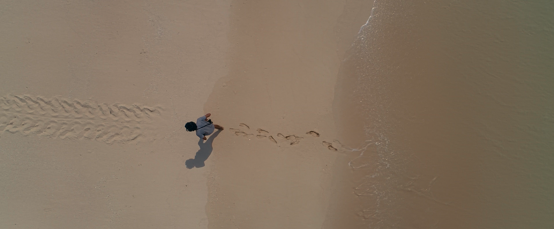 Person walking behind animal tracks on beach.
