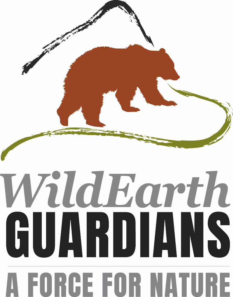 WGupdatedlogo2017-tag-color