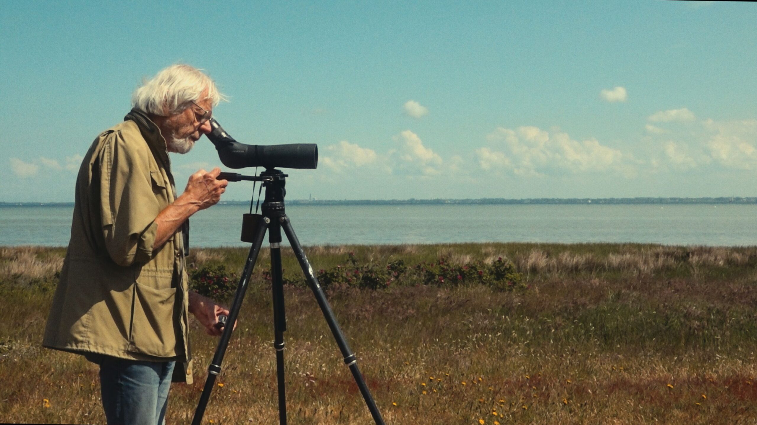 Web_Large-karlsson_m_0003_BP Person looks through telescope over grassy landscape.