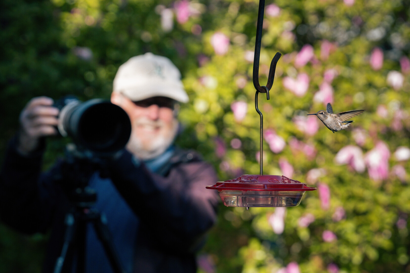 Person with hat pointing camera at bird-feeder.
