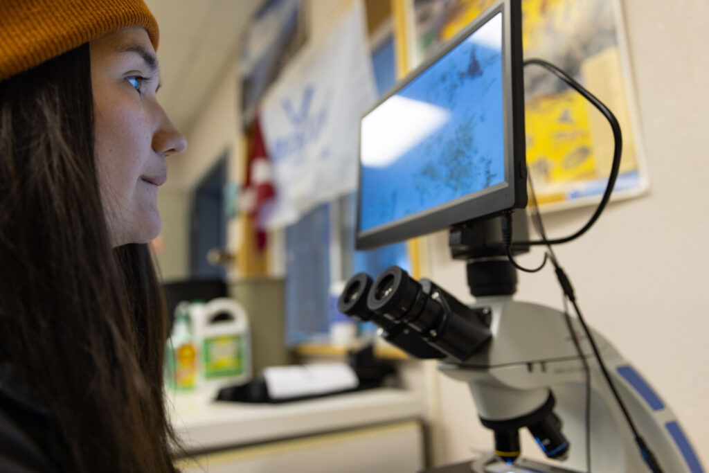 Person looks at screen above microscope.