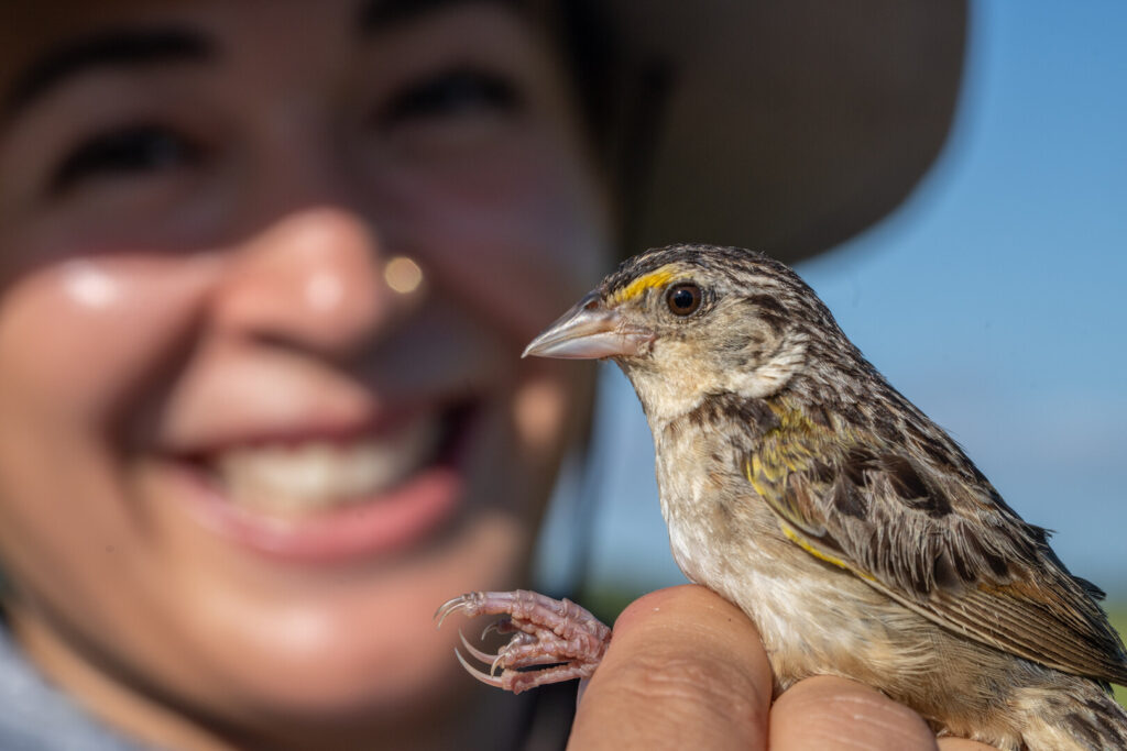 img-6747666ed4c10 Person smiling holding little brown bird.
