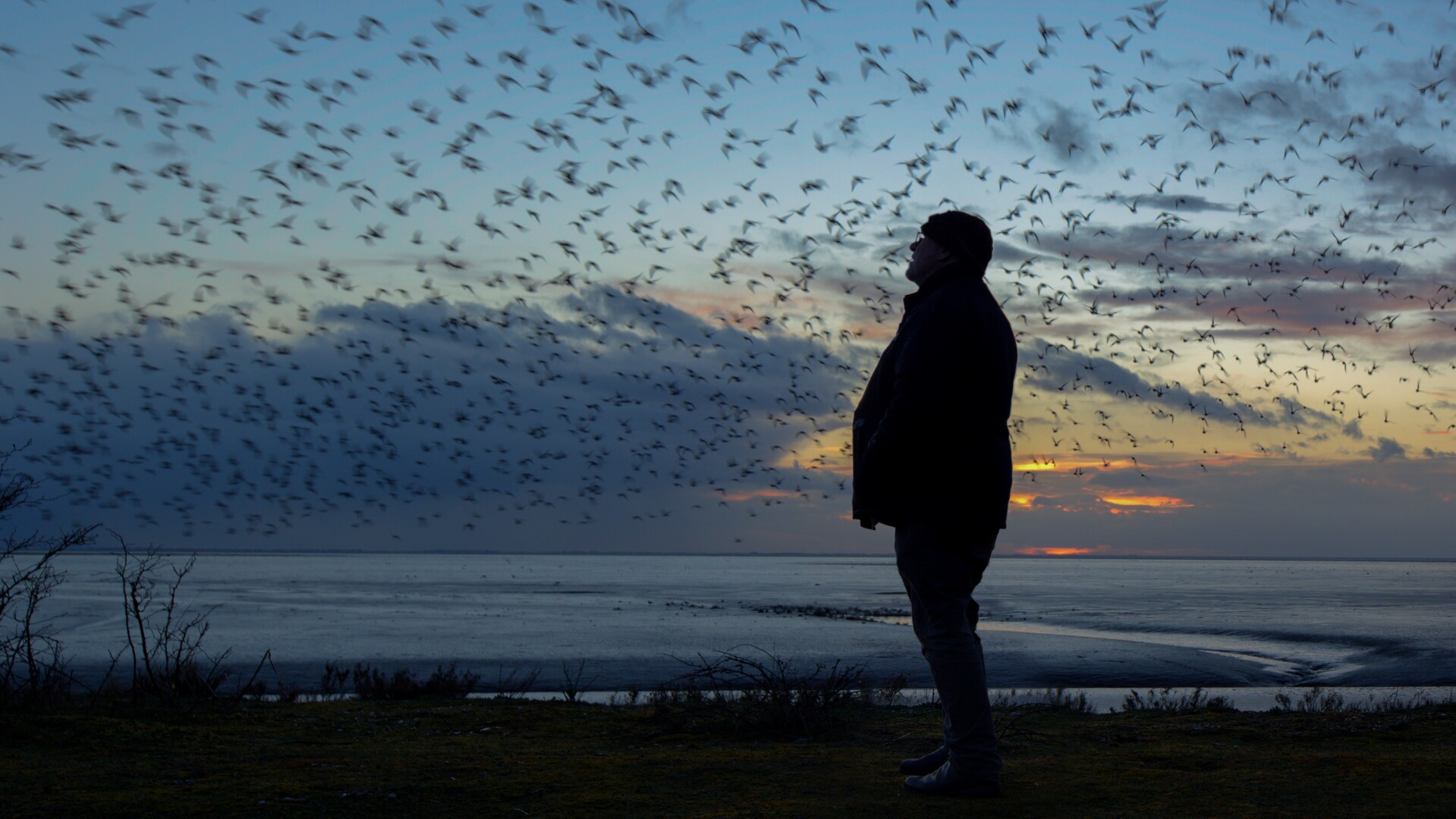 img-679a4e190497d Person standing looking up at birds in low light.