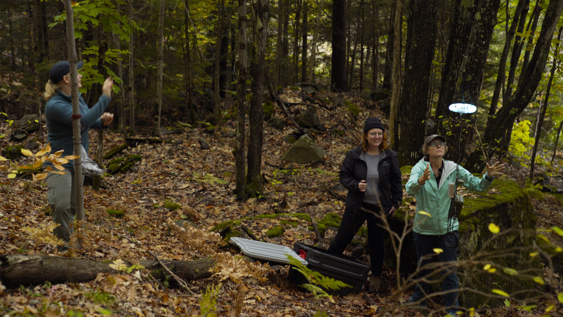 Group standing in forest.