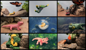 Grid of stop motion animation.