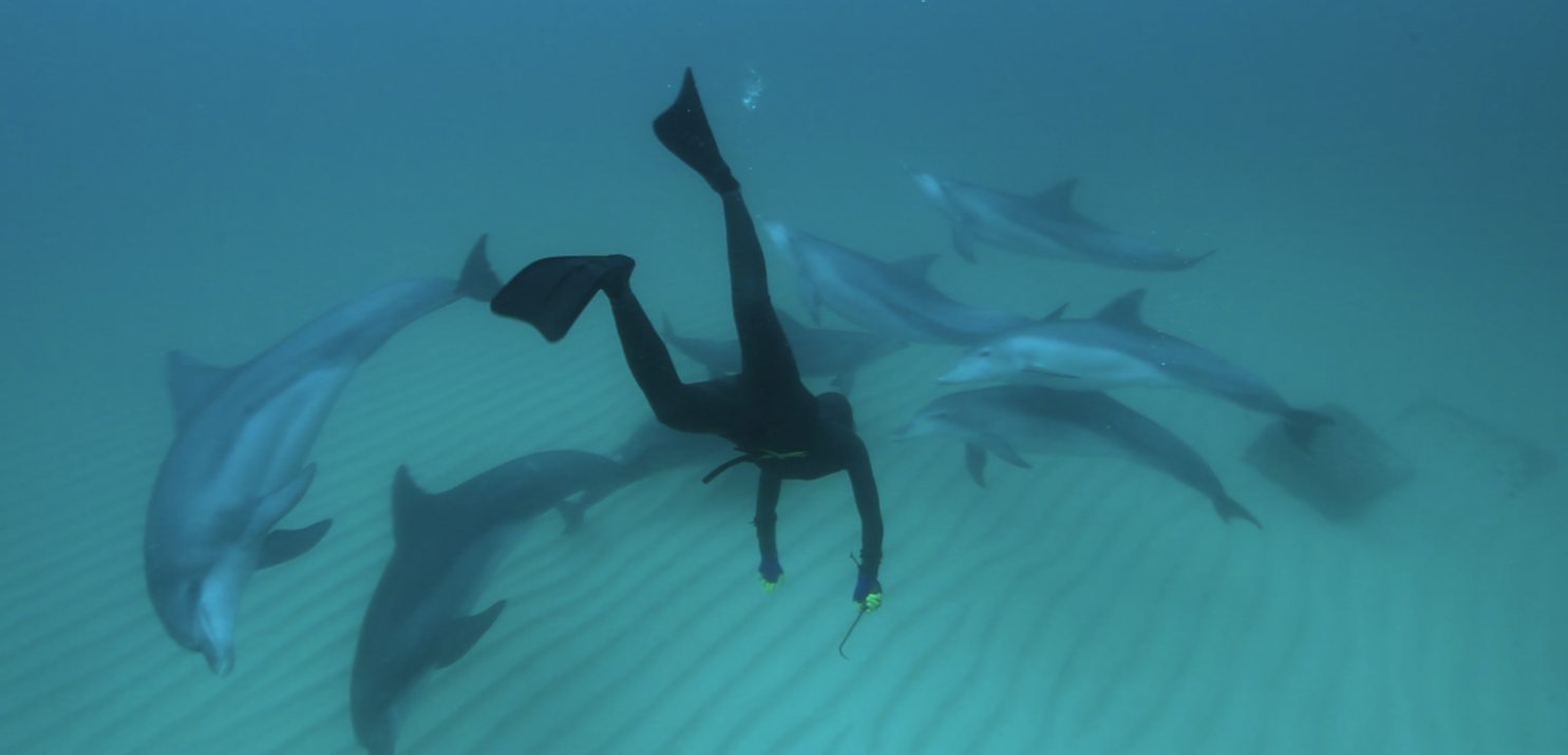 Diver underwater.