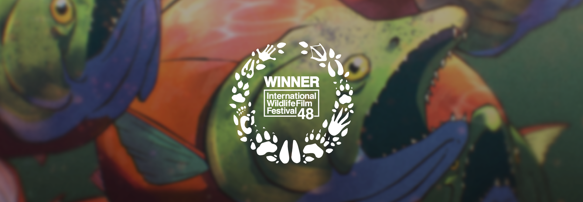 iwff-2025_website-banner_winners