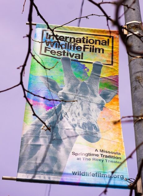 IWFF banner outside against purple background.
