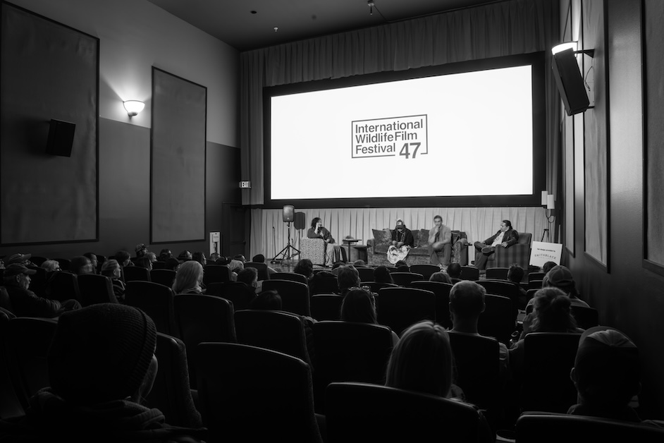 People in movie theater.