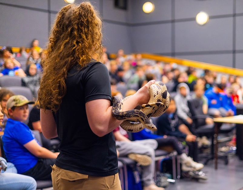 Person holding snake in front of crowd.