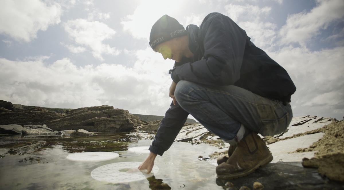Person crouches and puts hand in water.