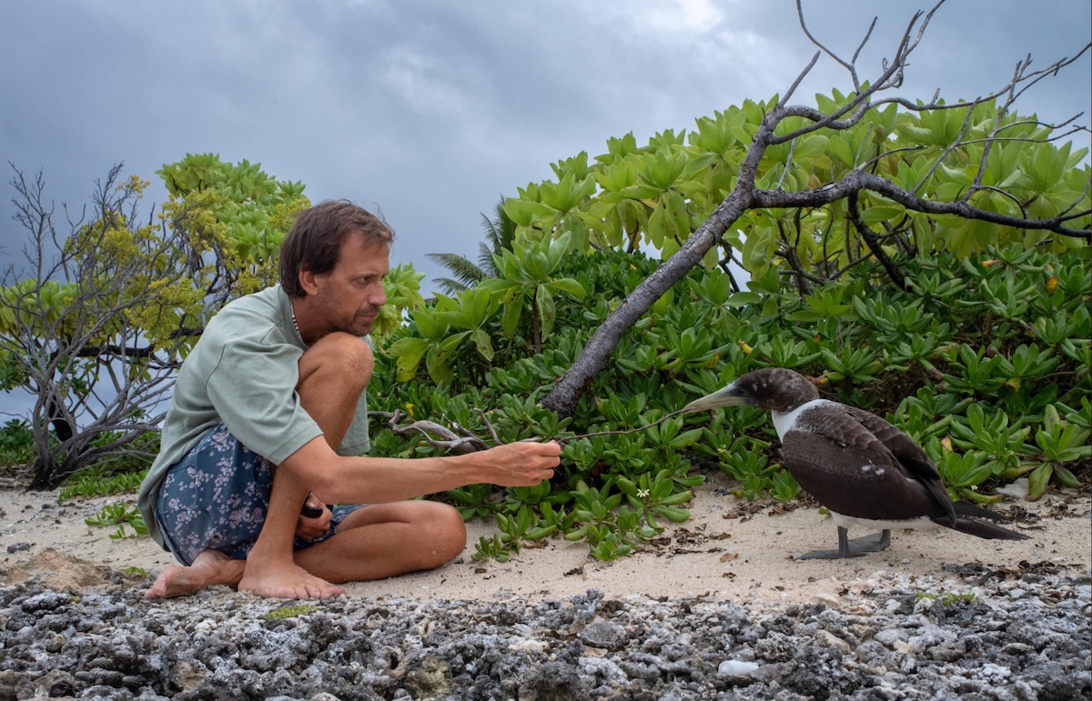 Person and bird on sand and rocky area.