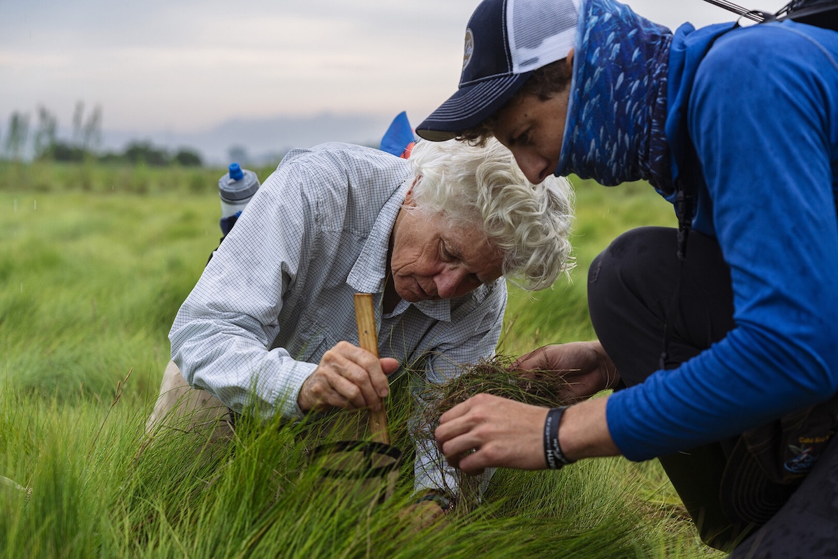 People use tools in grass.
