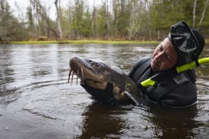 Person in water holding fish.
