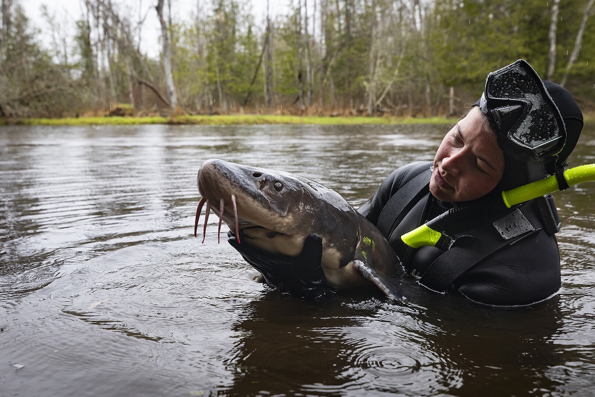 Person in water holding fish.