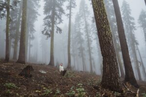 Person standing in misty forest.