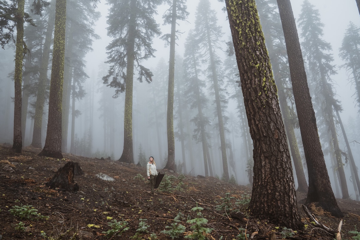 Person standing in misty forest.